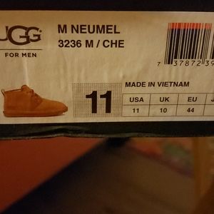 Men's ugg